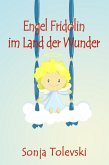 Engel Fridolin im Land der Wunder (eBook, ePUB)