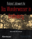 Das Wunderwasser in Grafenberg (eBook, ePUB)