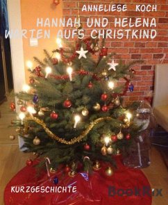 Cover Hannah und Helena warten aufs Christkind (eBook, ePUB)