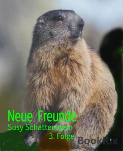 Neue Freunde (eBook, ePUB) - Schattenstein, Susy