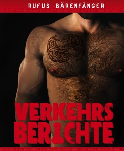 Verkehrsberichte - Die komplette Sammlung (eBook, ePUB) - Bärenfänger, Rufus