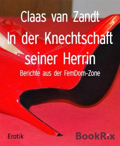 In der Knechtschaft seiner Herrin (eBook, ePUB) - van Zandt, Claas