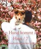 Ein Hund kommt ins Haus / 2 (eBook, ePUB)