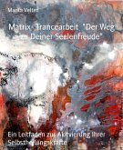 Matrix- Trancearbeit "Der Weg zu Deiner Seelenfreude" (eBook, ePUB)