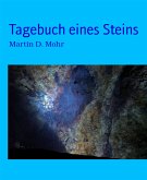 Tagebuch eines Steins (eBook, ePUB)