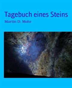 Tagebuch eines Steins (eBook, ePUB) - D. Mohr, Martin