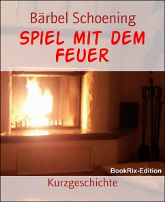 Spiel mit dem Feuer (eBook, ePUB) - Schoening, Bärbel