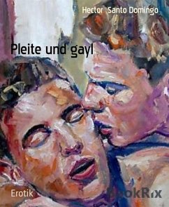 Pleite und gayl (eBook, ePUB) - Santo Domingo, Hector