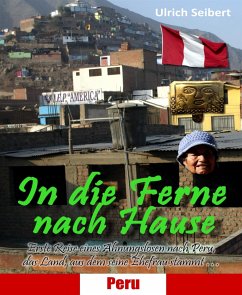 In die Ferne nach Hause (eBook, ePUB) - Seibert, Ulrich