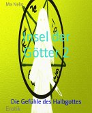 Insel der Götter 2 (eBook, ePUB)