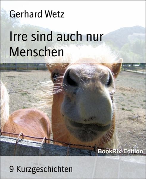 Irre sind auch nur Menschen (eBook, ePUB)