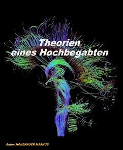 Theorien eines Hoch-Begabten (eBook, ePUB) - Hohenauer, Markus
