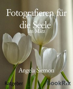 Fotografieren für die Seele (eBook, ePUB) - Siemon, Angela