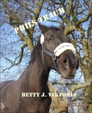 Phils Traum (eBook, ePUB)