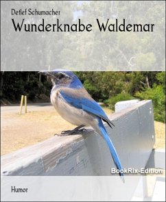 Wunderknabe Waldemar (eBook, ePUB) Cover Wunderknabe Waldemar (eBook, ePUB)