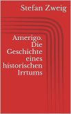 Amerigo. Die Geschichte eines historischen Irrtums (eBook, ePUB)