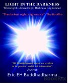 LIGHT IN THE DARKNESS (eBook, ePUB)