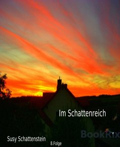 Im Schattenreich (eBook, ePUB) - Schattenstein, Susy