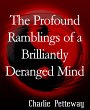 The Profound Ramblings of a Brilliantly... - Bild 1