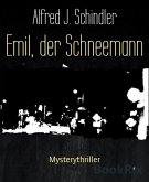 Emil, der Schneemann (eBook, ePUB)