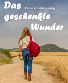 Das geschenkte Wunder (eBook, ePUB)