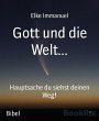 Gott und die Welt... (eBook, ePUB) - Bild 1