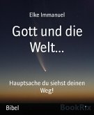 Gott und die Welt... (eBook, ePUB)