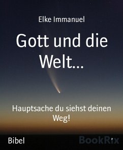 Gott und die Welt... (eBook, ePUB) - Immanuel, Elke