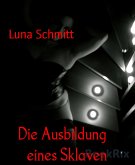 Die Ausbildung eines Sklaven (eBook, ePUB)