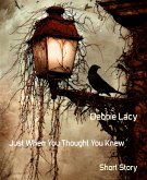Just When You Thought You Knew (eBook, ePUB)