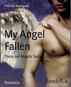 My Angel Fallen (eBook, ePUB) - Rodriguez, Patricia