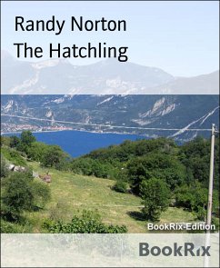 The Hatchling (eBook, ePUB) - Norton, Randy