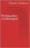 Weihnachtserzählungen (eBook, ePUB)