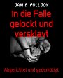 In die Falle gelockt und versklavt... - Bild 1