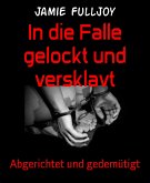 In die Falle gelockt und versklavt (eBook, ePUB)