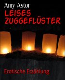 Leises Zuggeflüster (eBook, ePUB)