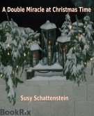 A Double Miracle at Christmas Time (eBook, ePUB)