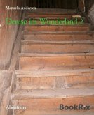 Denise im Wunderland 2 (eBook, ePUB)