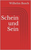 Schein und Sein (eBook, ePUB)