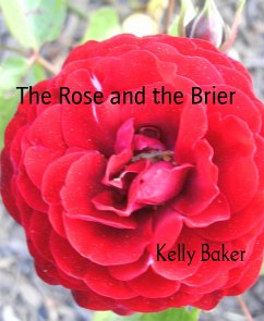 The Rose and the Brier (eBook, ePUB) - Baker, Kelly