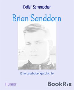 Brian Sanddorn (eBook, ePUB) - Schumacher, Detlef Brian Sanddorn (eBook, ePUB) - Schumacher, Detlef