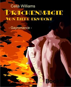 Cover Drachenmagie - Von Liebe erweckt (eBook, ePUB)