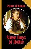 Slave Boys of Rome (eBook, ePUB)