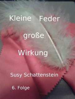 Kleine Feder - große Wirkung (eBook, ePUB) - Schattenstein, Susy
