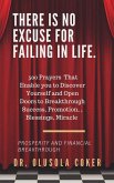There is no excuse for failing in life: (eBook, ePUB)