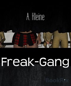 Freak-Gang (eBook, ePUB) - Kleine, A.