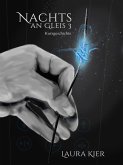 Nachts an Gleis 3 (eBook, ePUB)