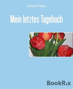 Mein letztes Tagebuch (eBook, ePUB) - Polzin, Helmut