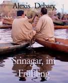 Srinagar, im Frühling (eBook, ePUB)