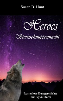 HEROES - Sternschnuppennacht (eBook, ePUB) - B. Hunt, Susan